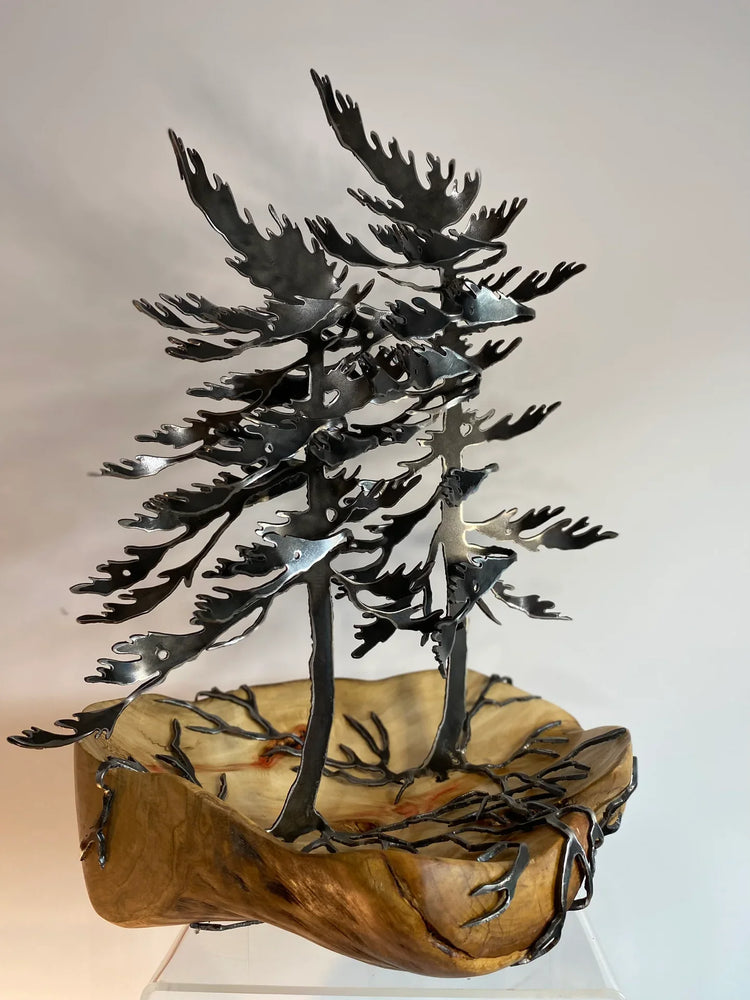 Cathy Mark Windswept Tree