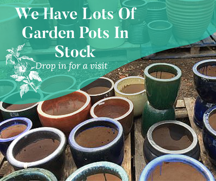 Garden Pots