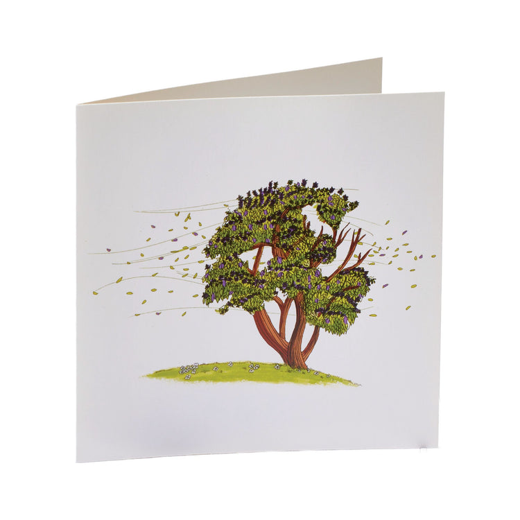Greeting Cards