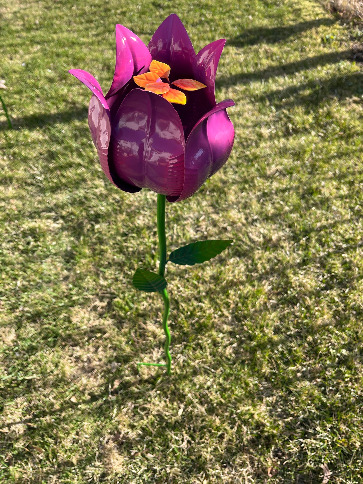 Metal tulip stake