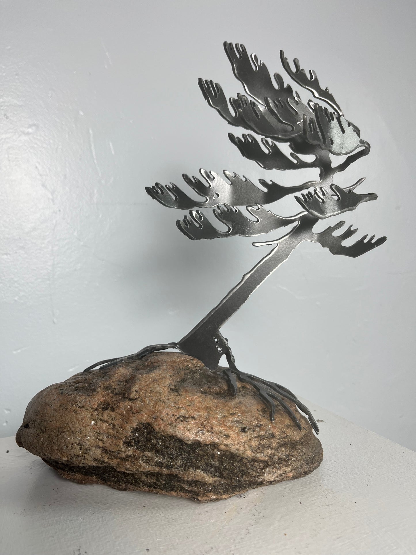 Cathy mark windswept tree on stone