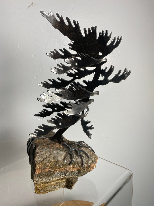 Windswept Pine Steel Sculpture on Granite by Canadian Artist Cathy Mark #28
