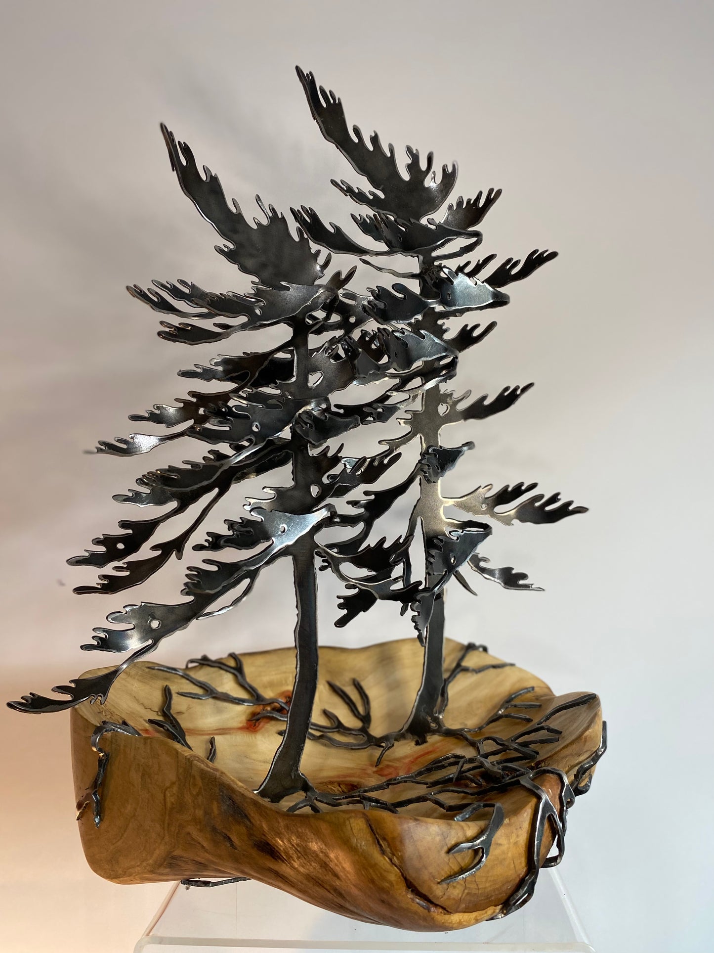Windswept Tree #22