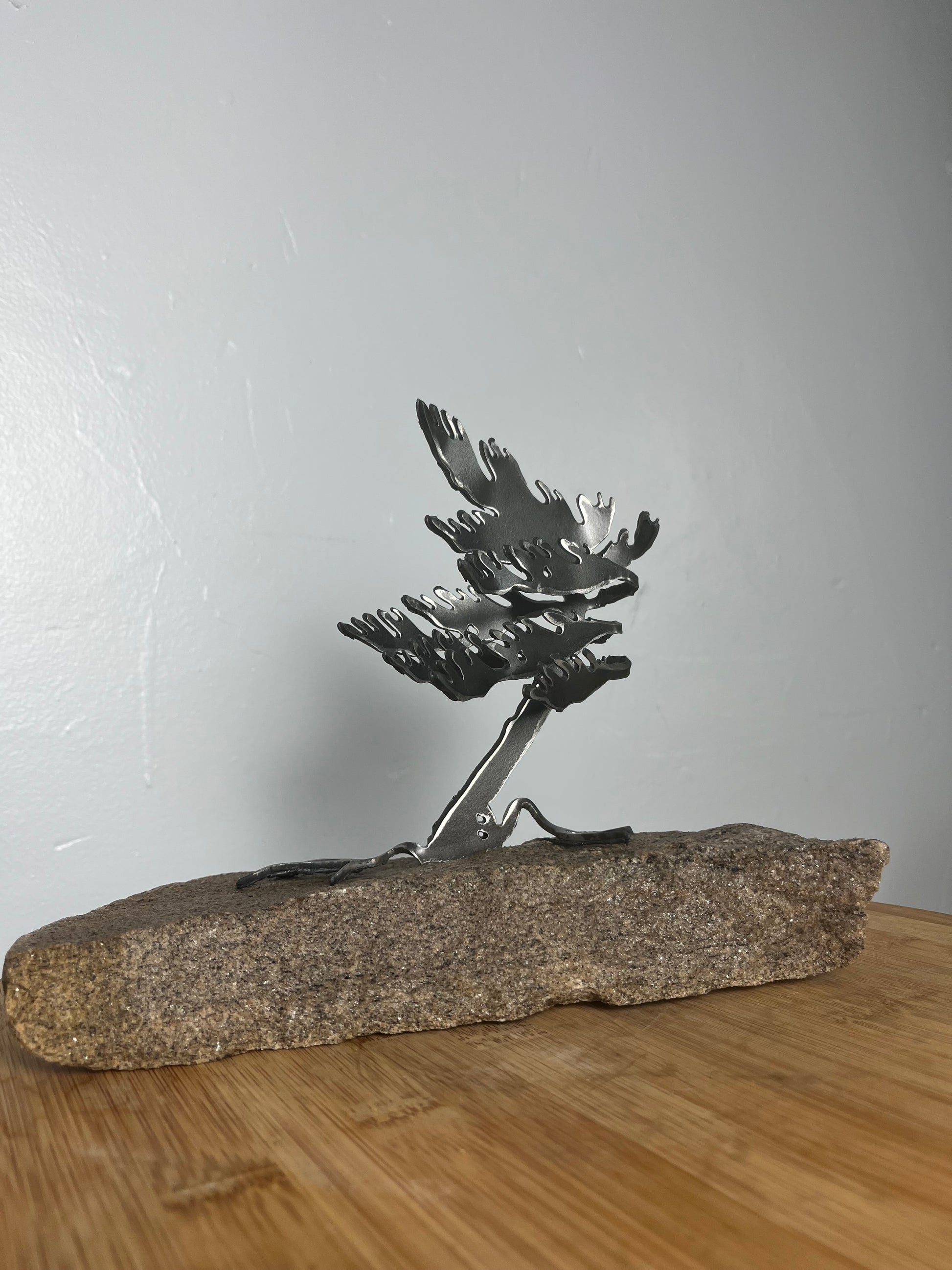 Cathy mark windswept tree on stone