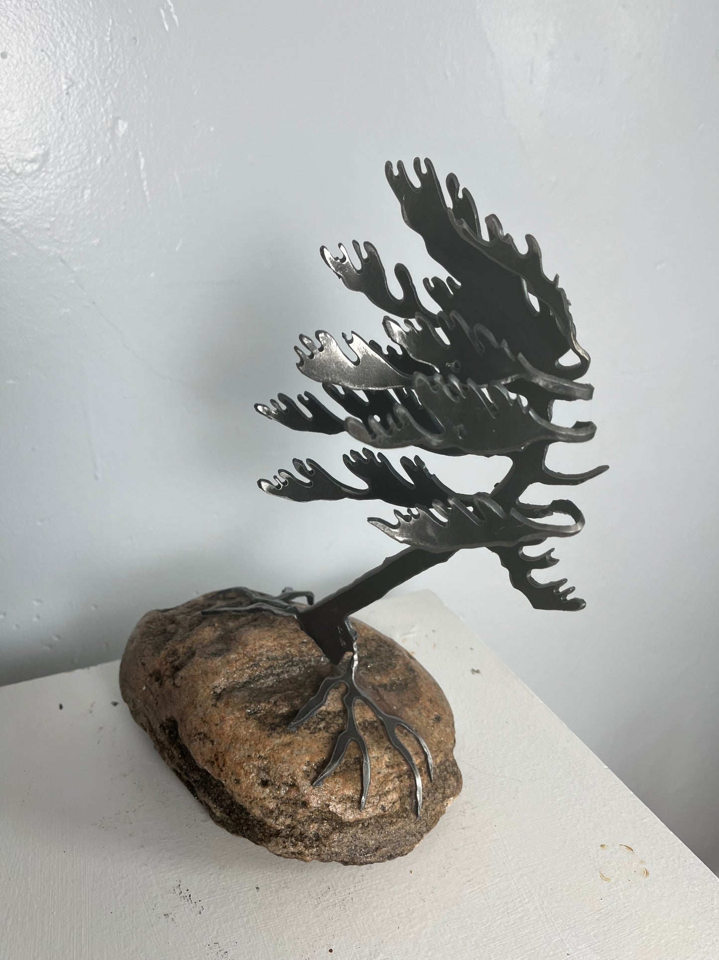 Cathy mark windswept tree on stone