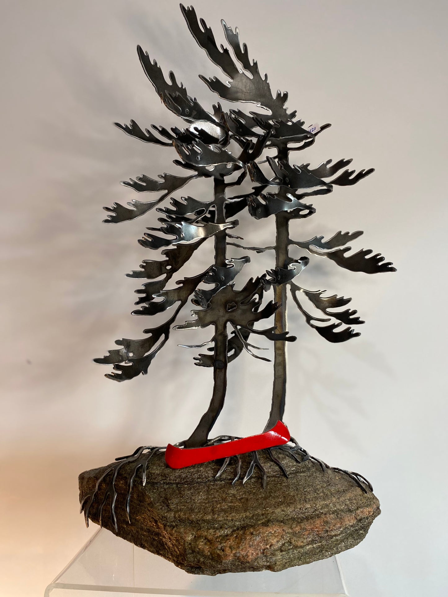 Windswept Tree #19