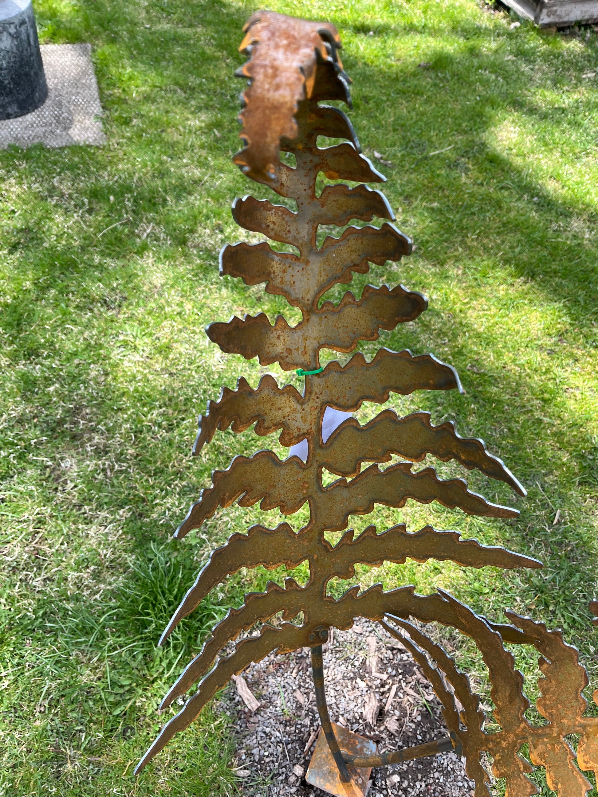 Metal curled fern