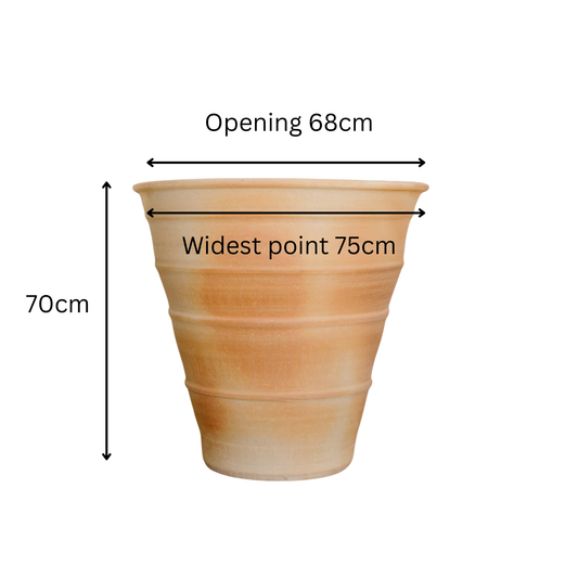 Beige pot with measurements on a white background
