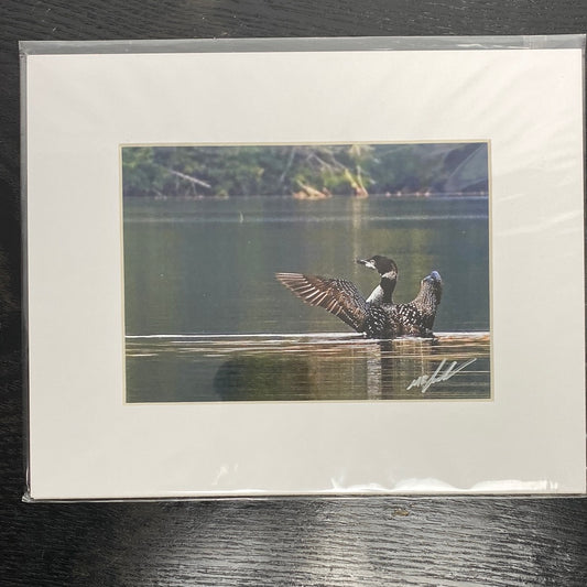Loon Display, Canisbay Lake