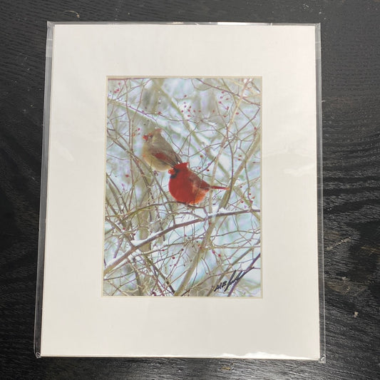 Cardinal Pair