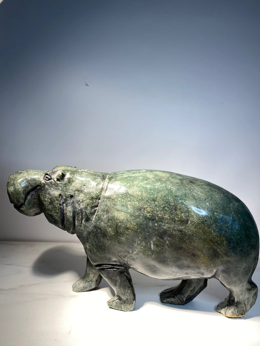 Hippo -Artist Unknown
