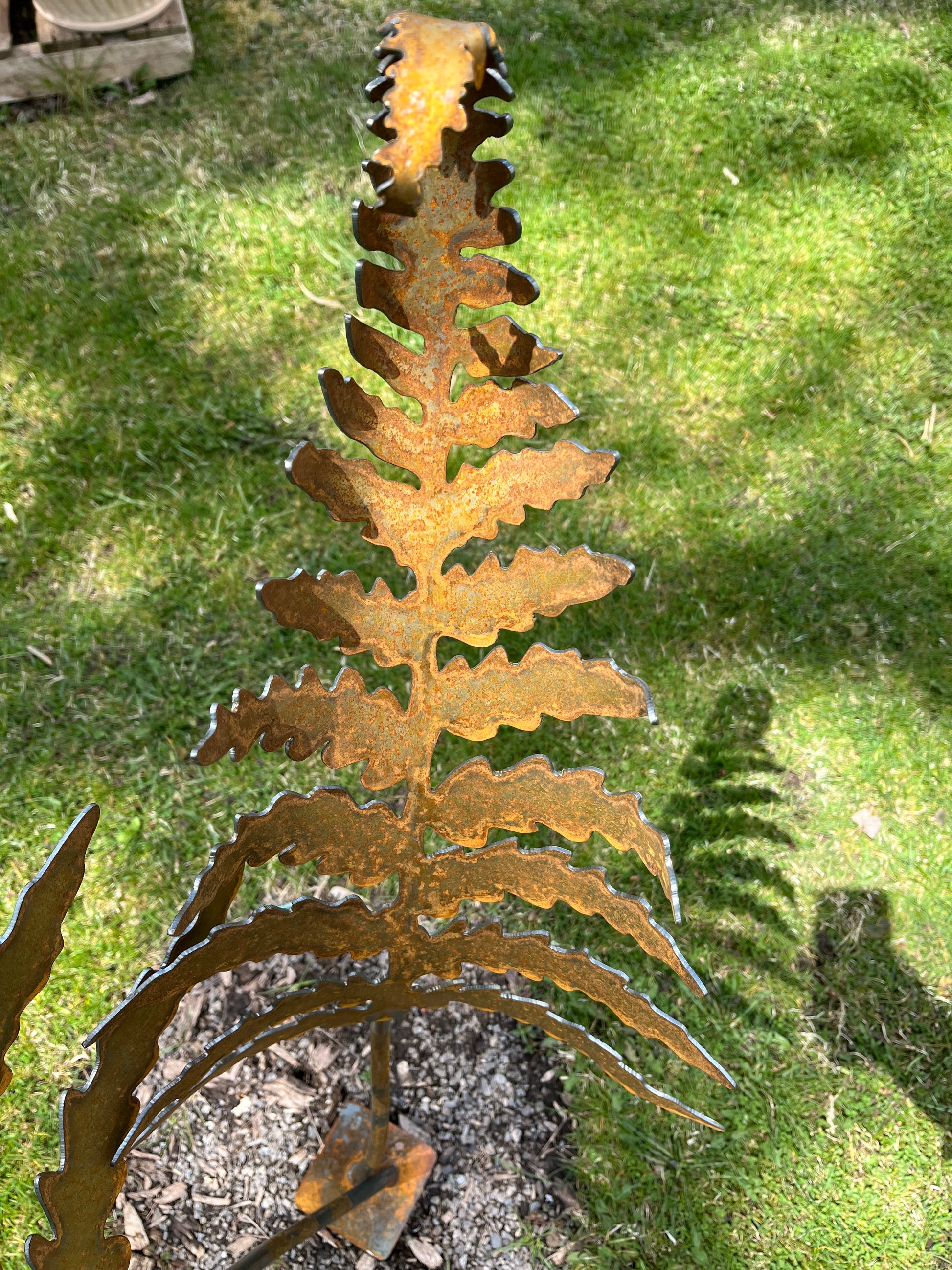 Metal curled fern
