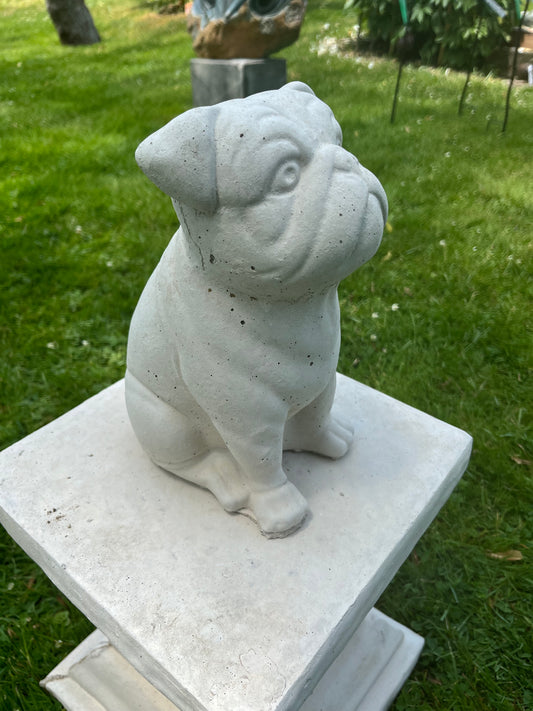 concrete bulldog