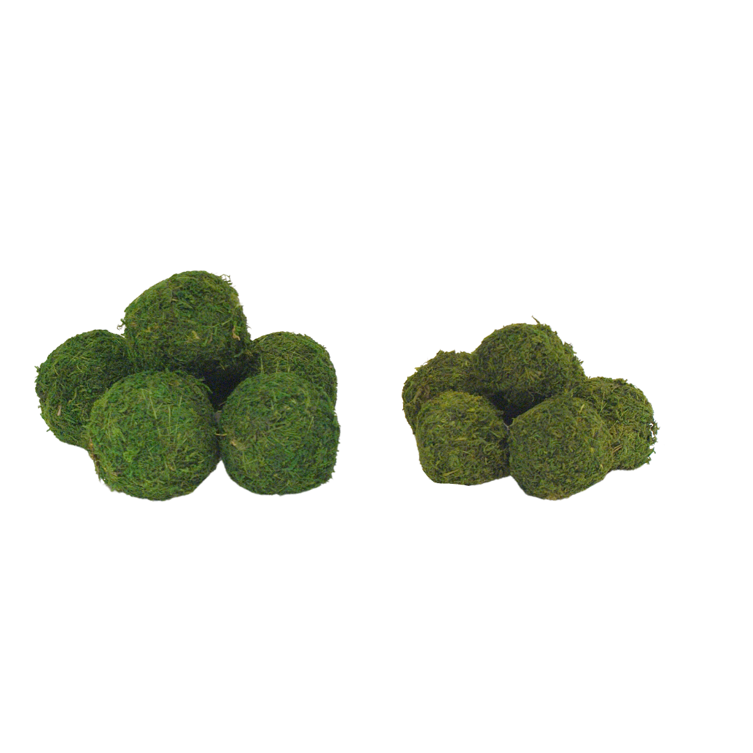 Moss Ball 3"