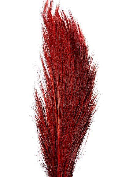 Broom Grass Burgundy
