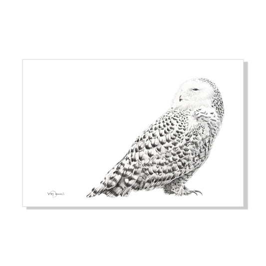 Snowy Owl Print