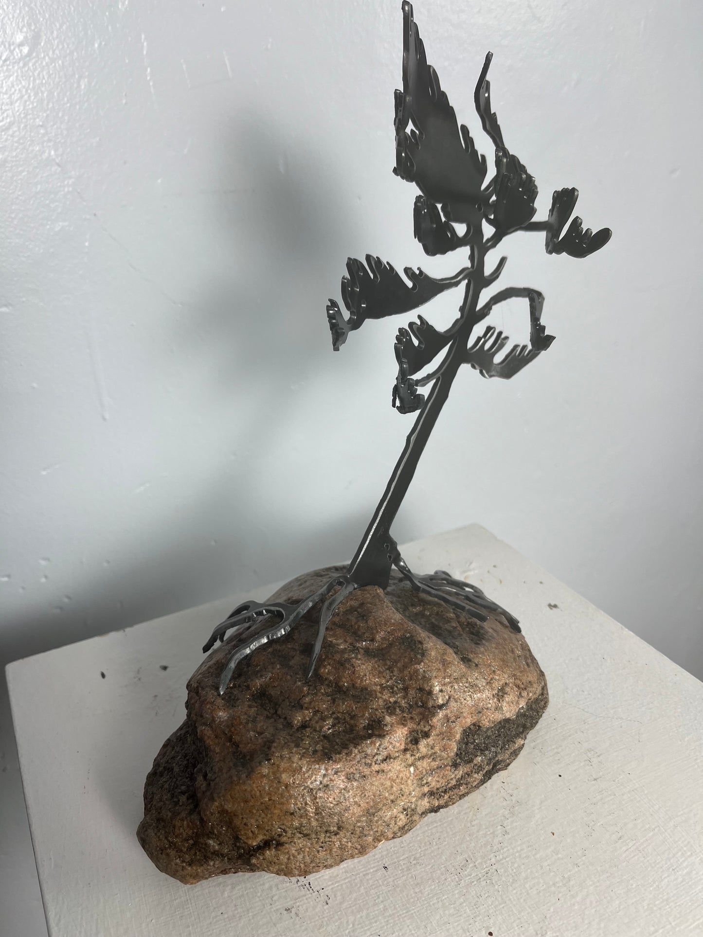 Cathy mark windswept tree on stone