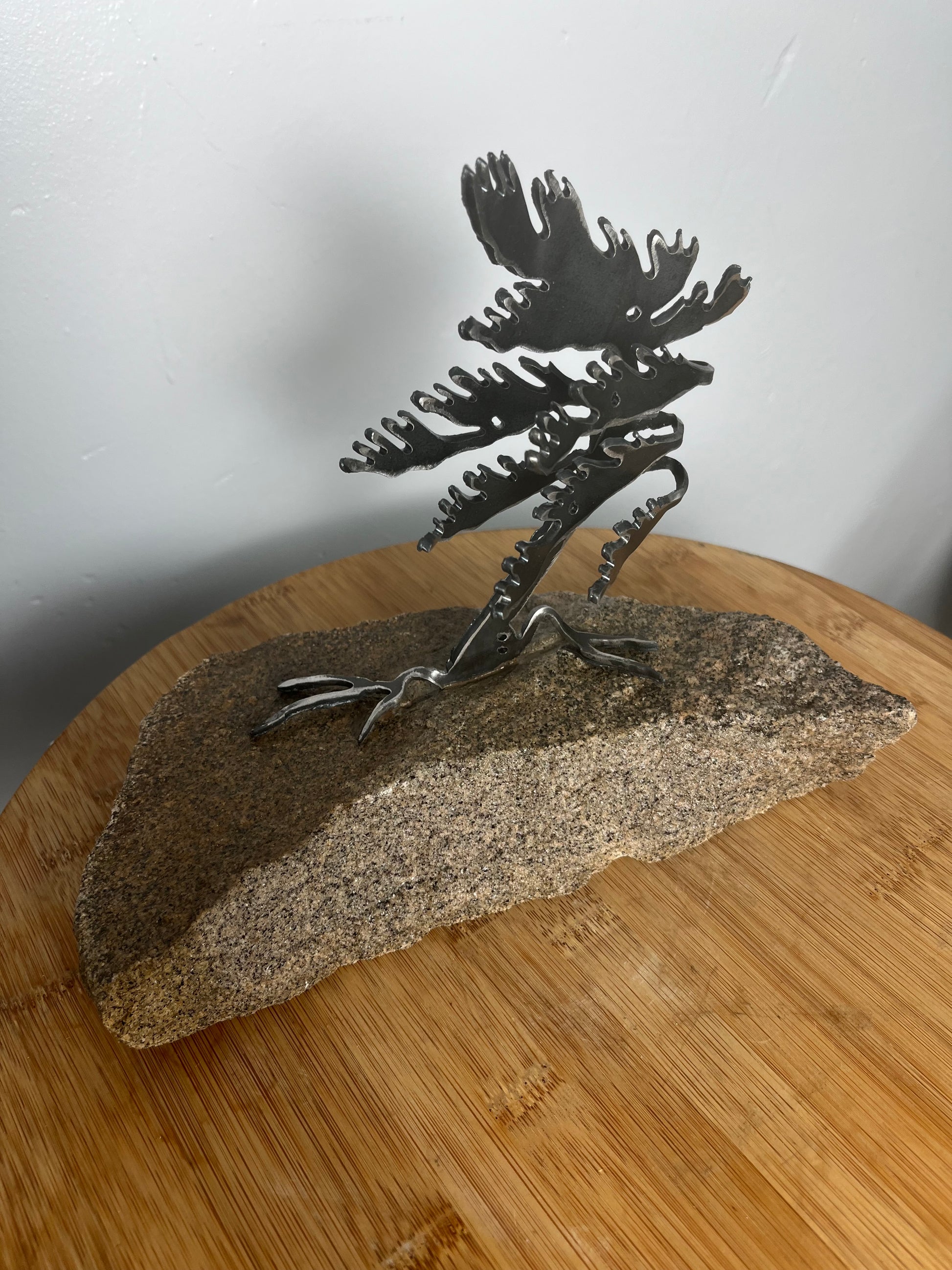 Cathy mark windswept tree on stone