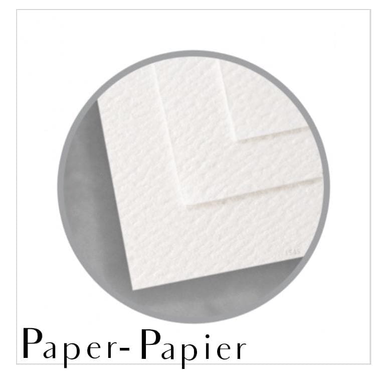 Mother Bear and cub - "Social Animal" Collection