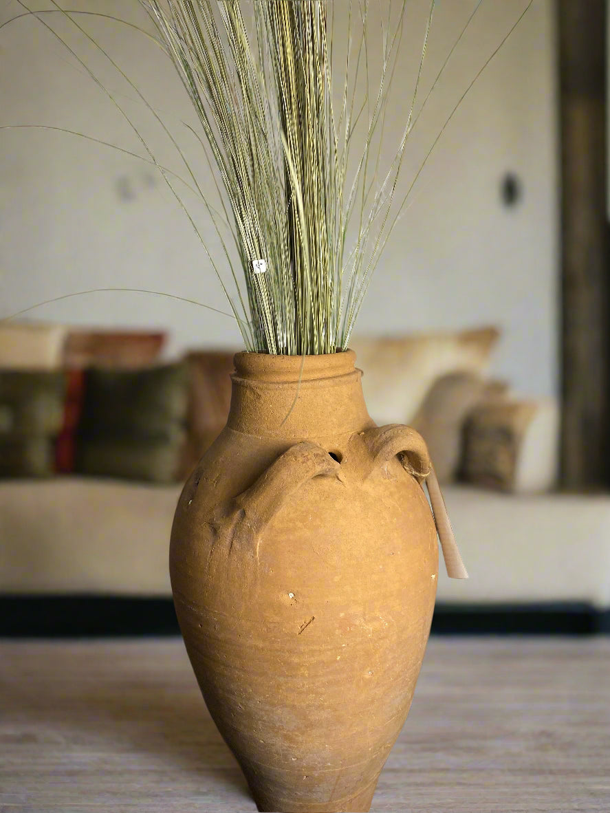 Beach Grass
