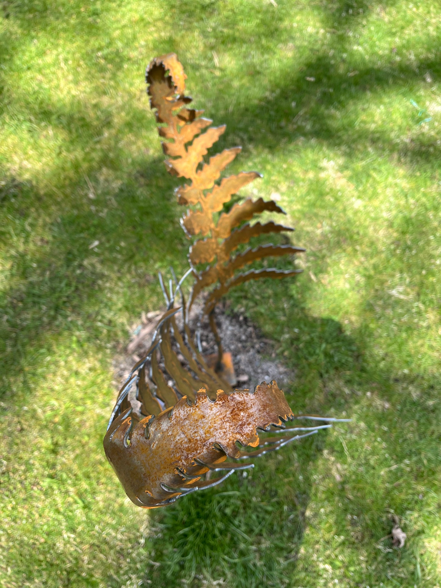 Metal curled fern