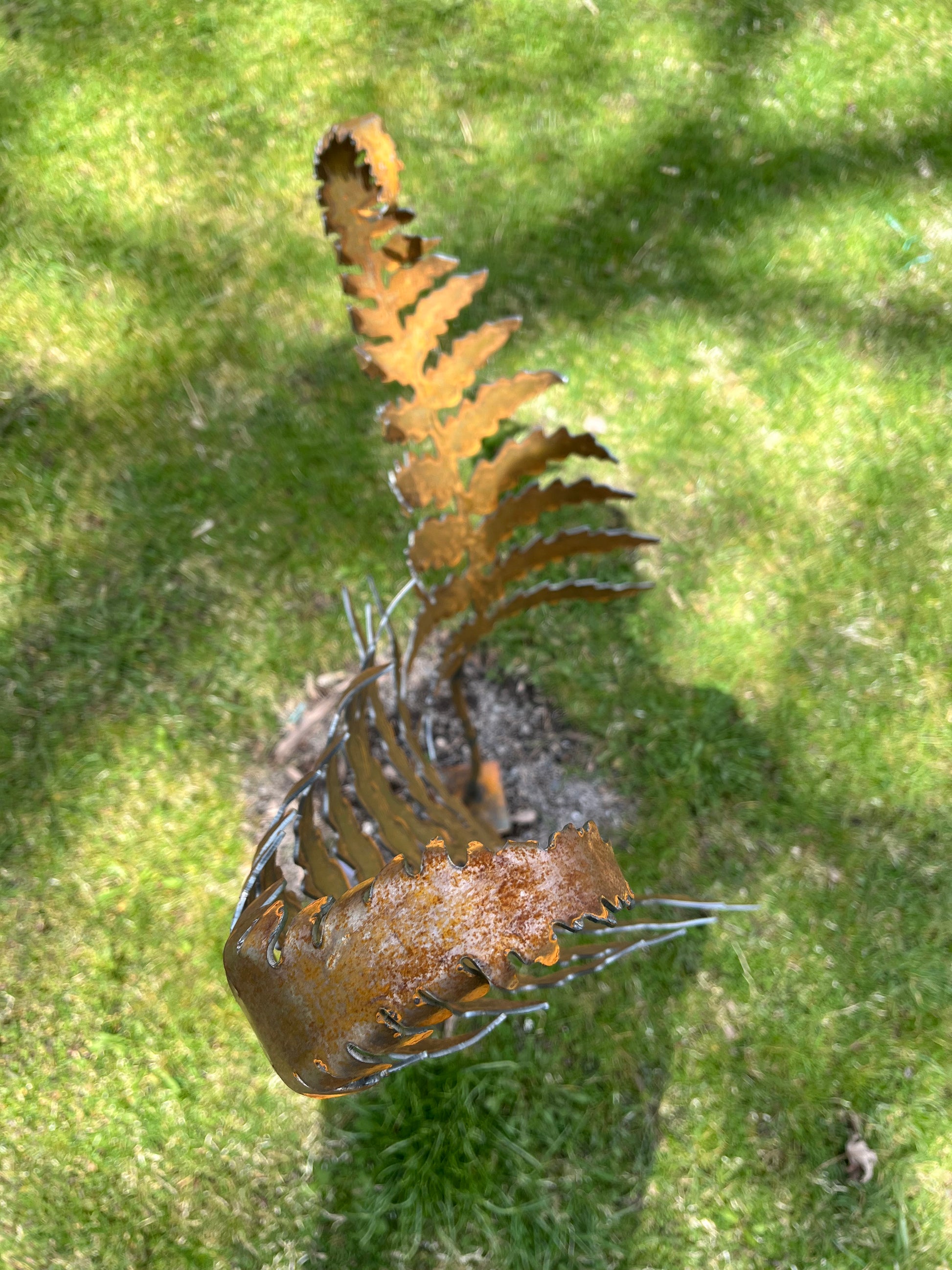 Metal curled fern