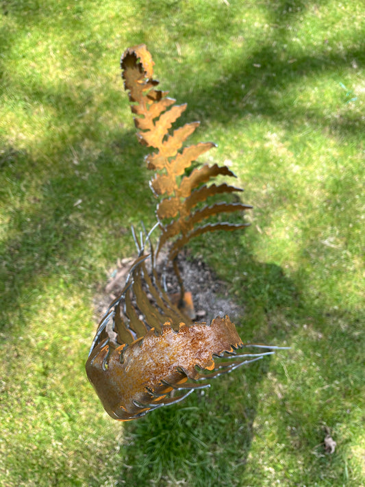 Metal curled fern