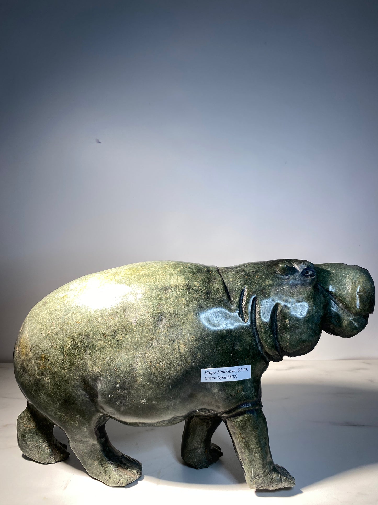 Hippo -Artist Unknown