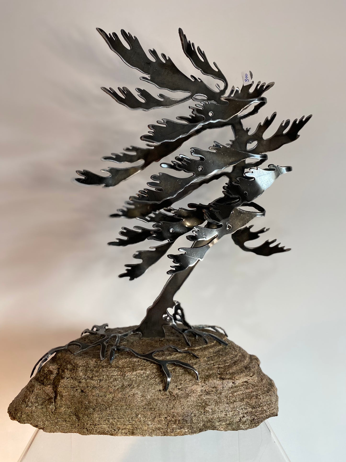 Windswept Tree #15