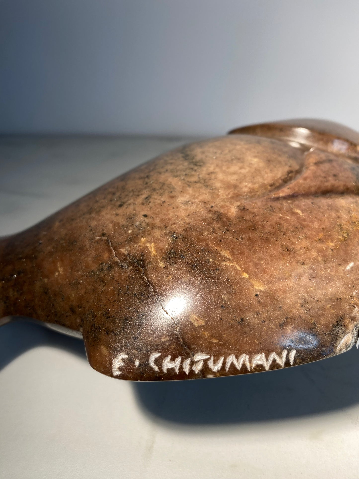 Fish - Artist Edmore Chijumuni