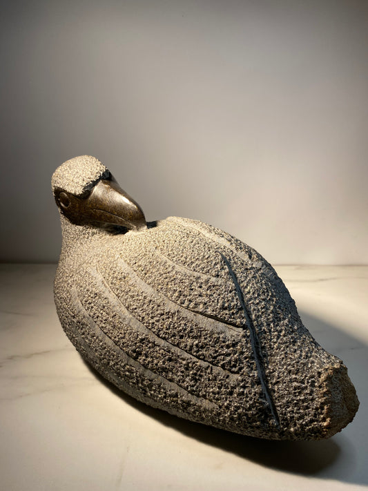 Quiet Bird - Artist Johnathan Mhondorohuma