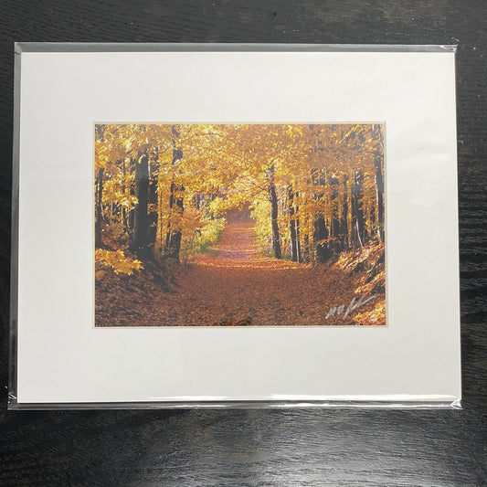 Autumn Morning Photograph