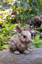 Driftwood Rabbit Garden Ornament