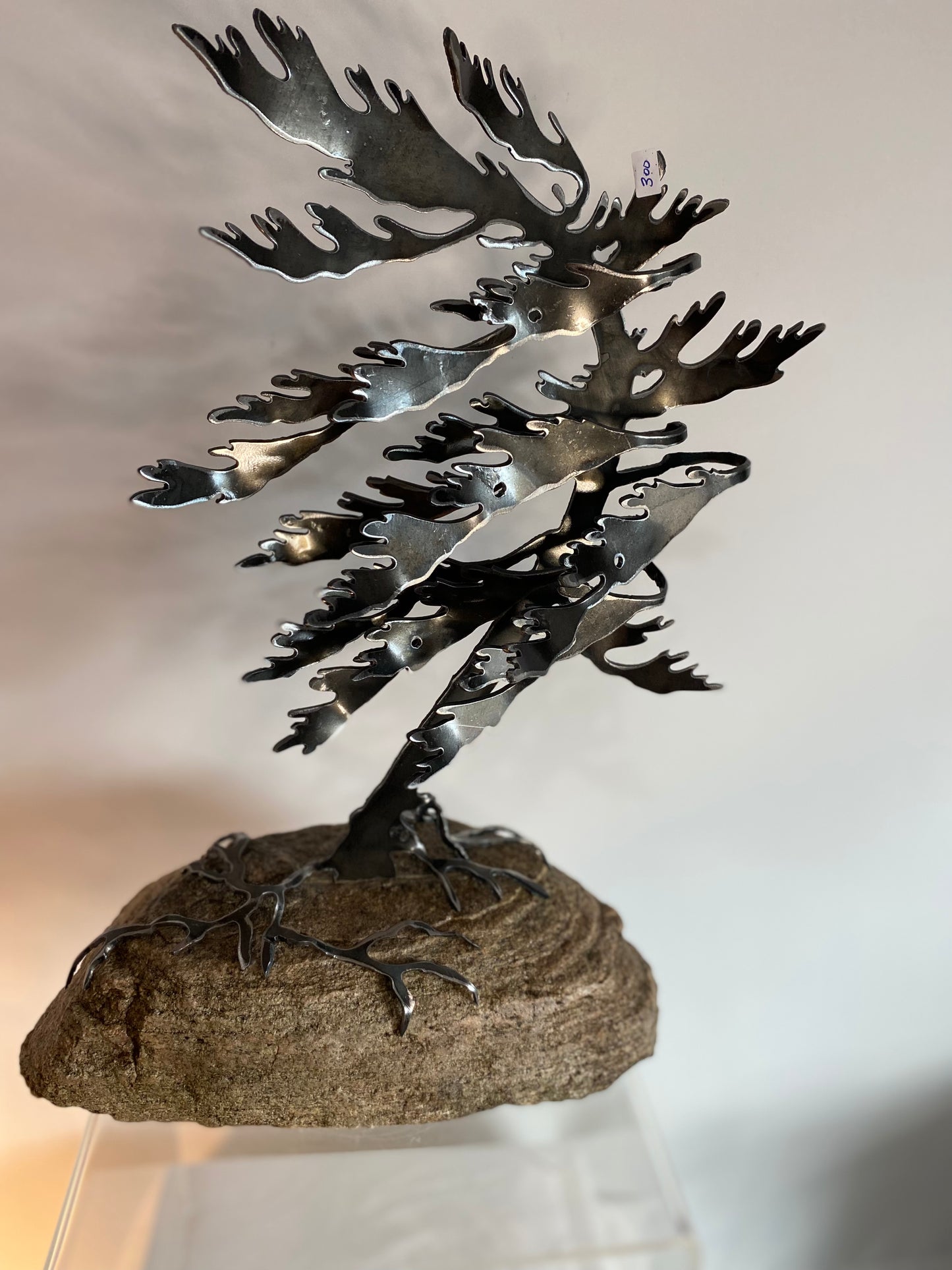 Windswept Tree #15