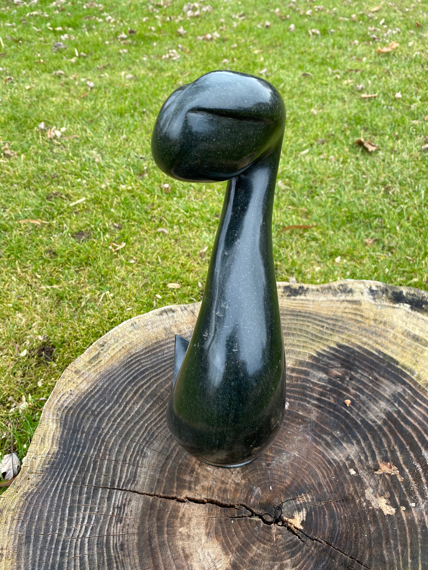 Unfurling - Artist Matthew Nakhawale