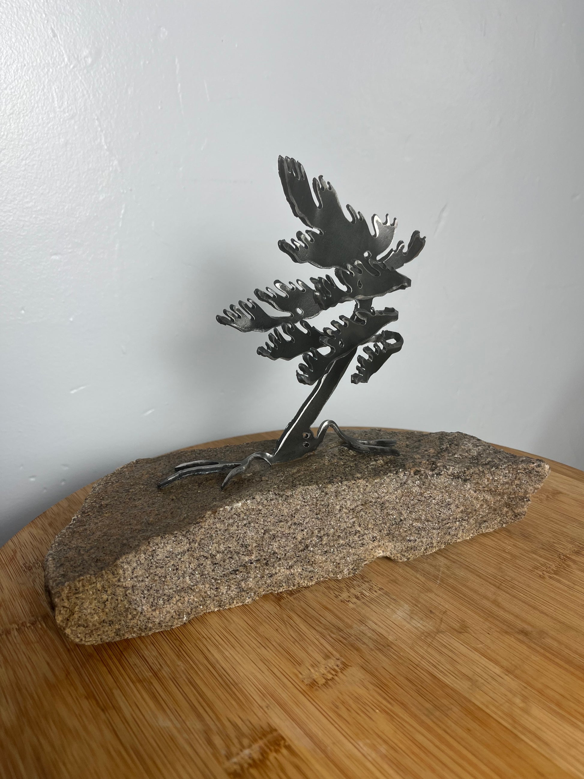 Cathy mark windswept tree on stone