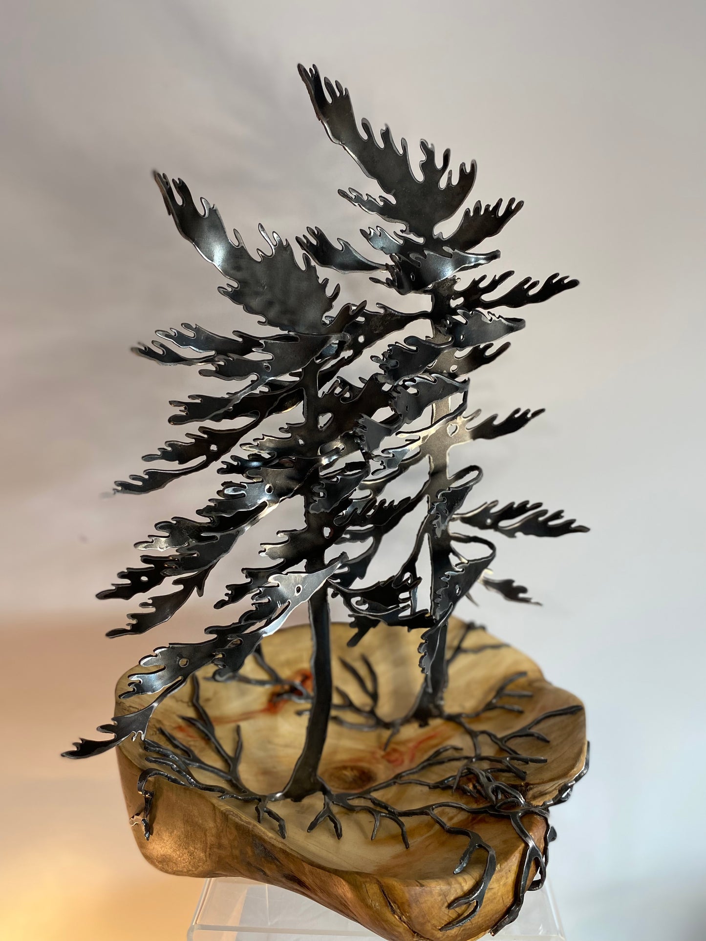 Windswept Tree #22