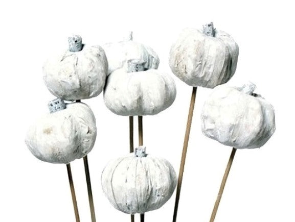 Pumpkins on a Stem