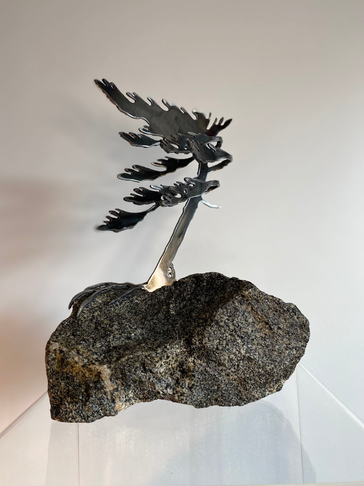 Windswept Tree #10