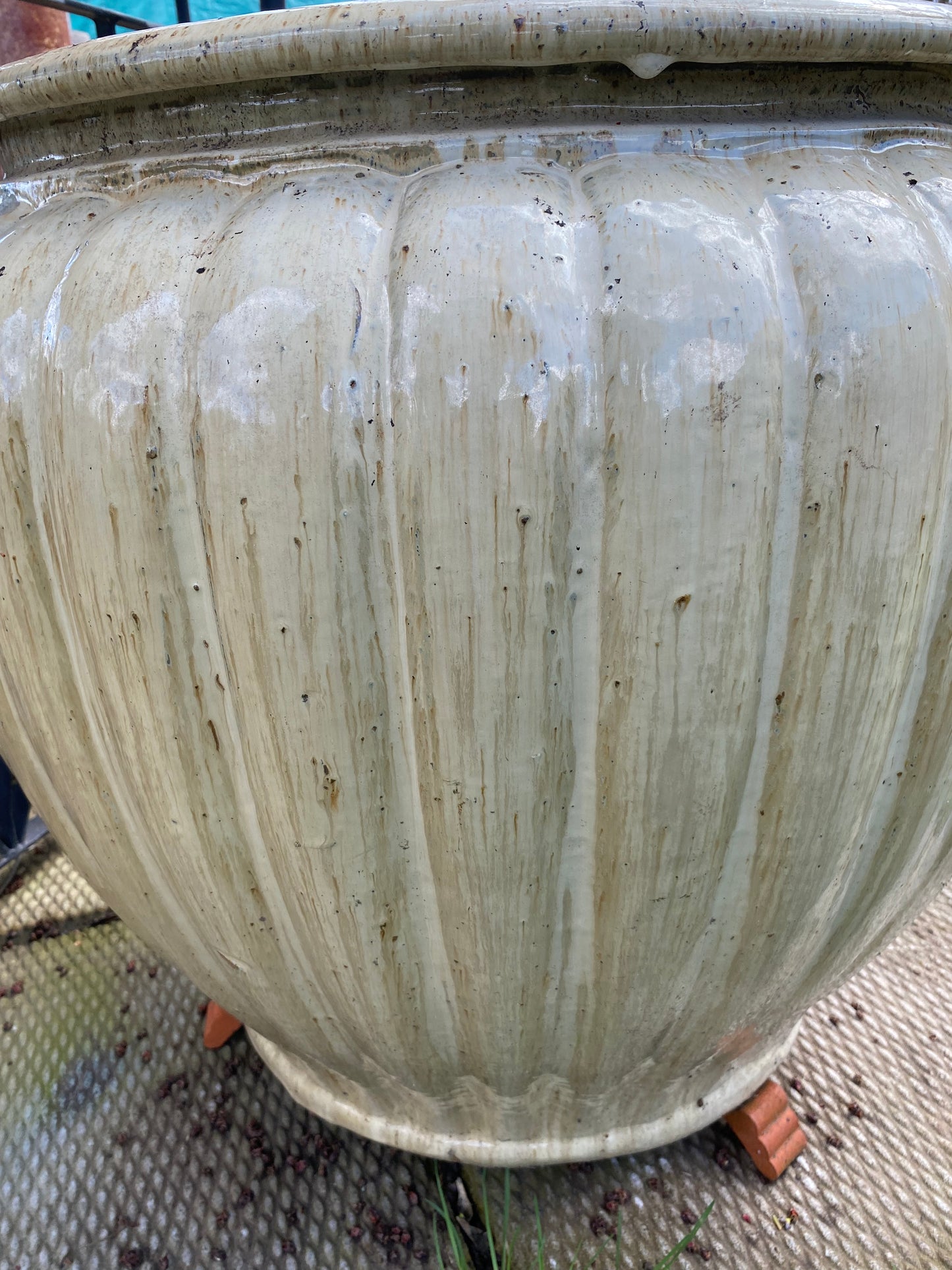 Pumpkin Planter - XLarge