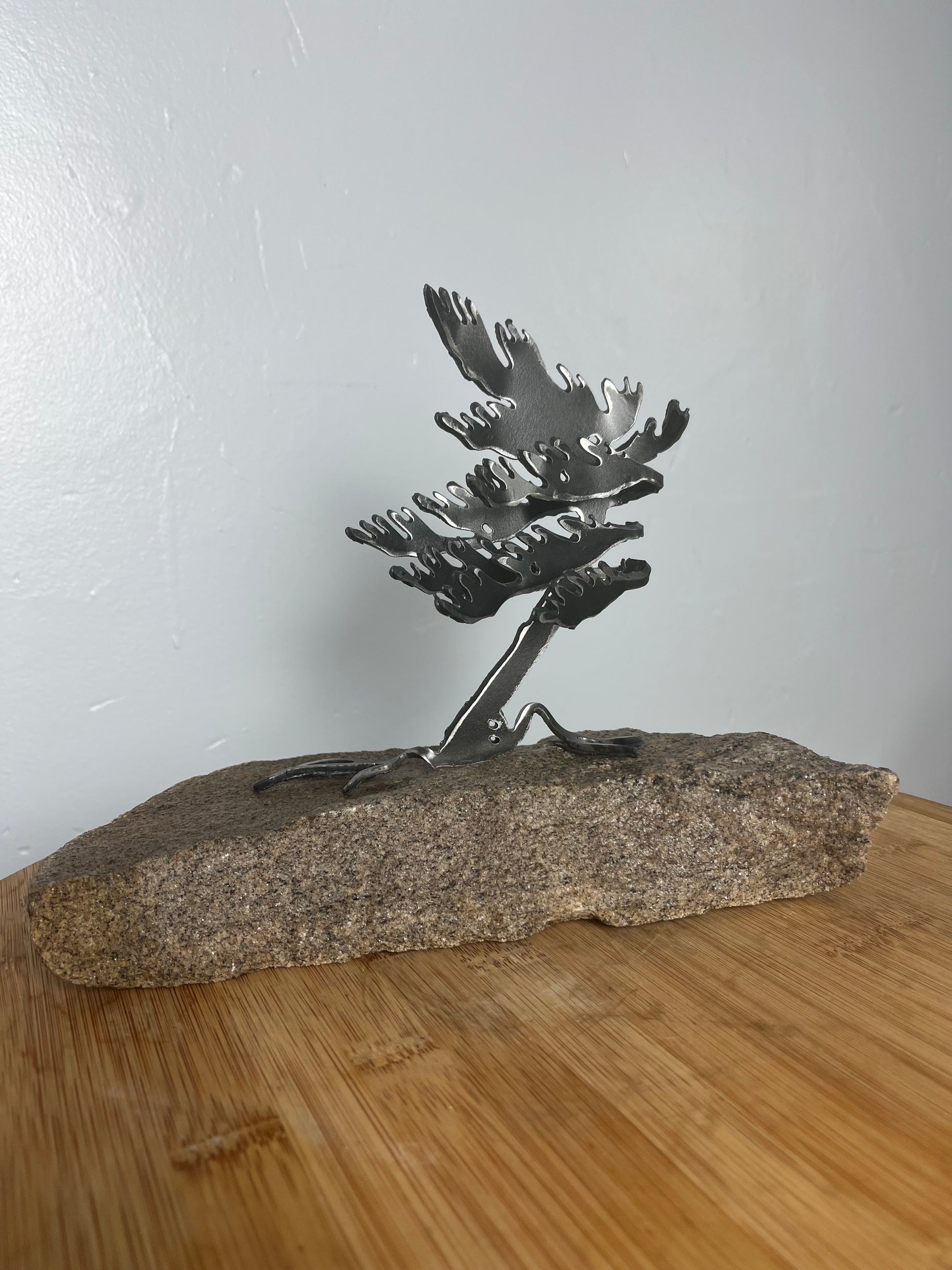 Cathy mark windswept tree on stone