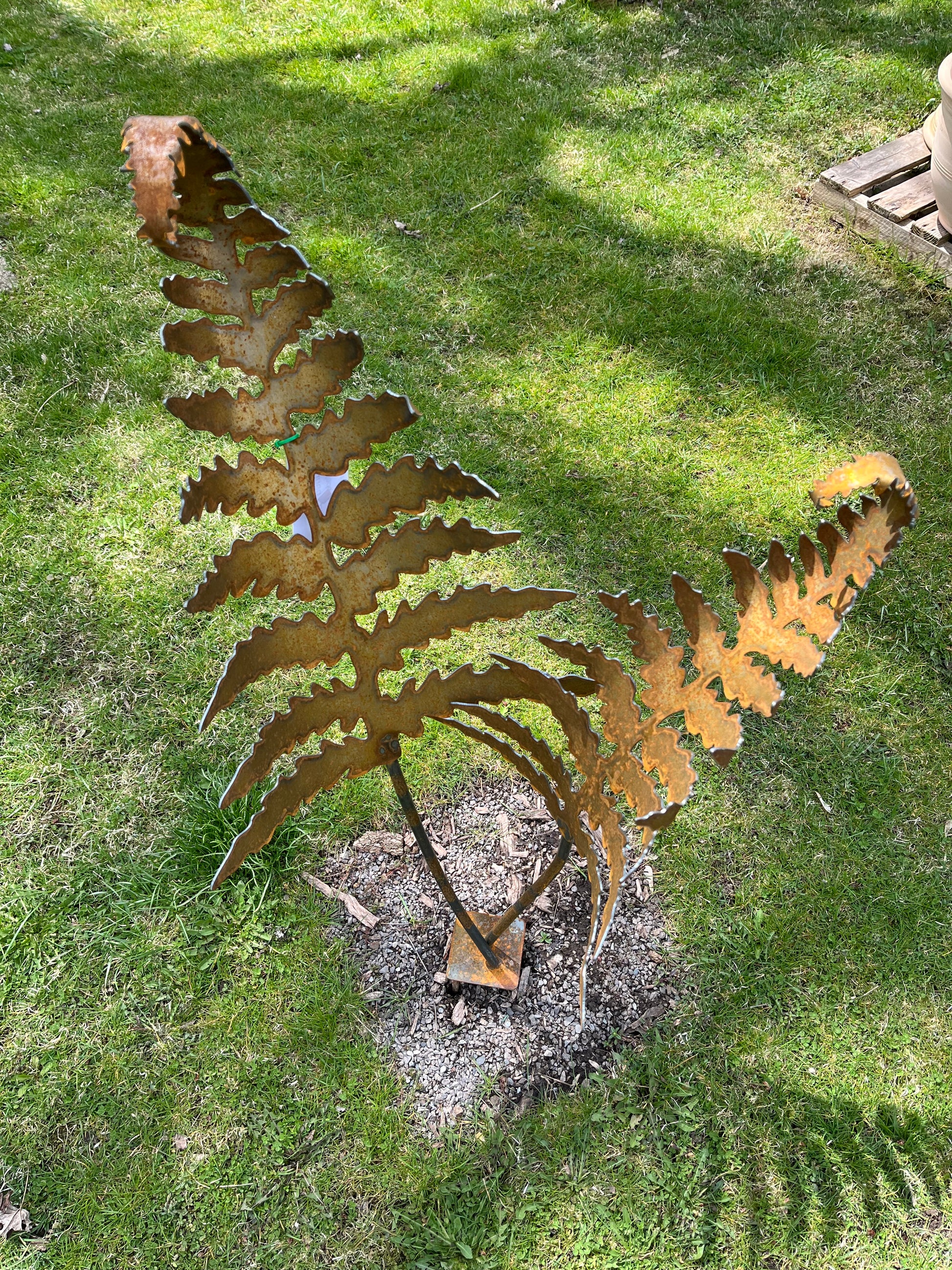 Metal curled fern