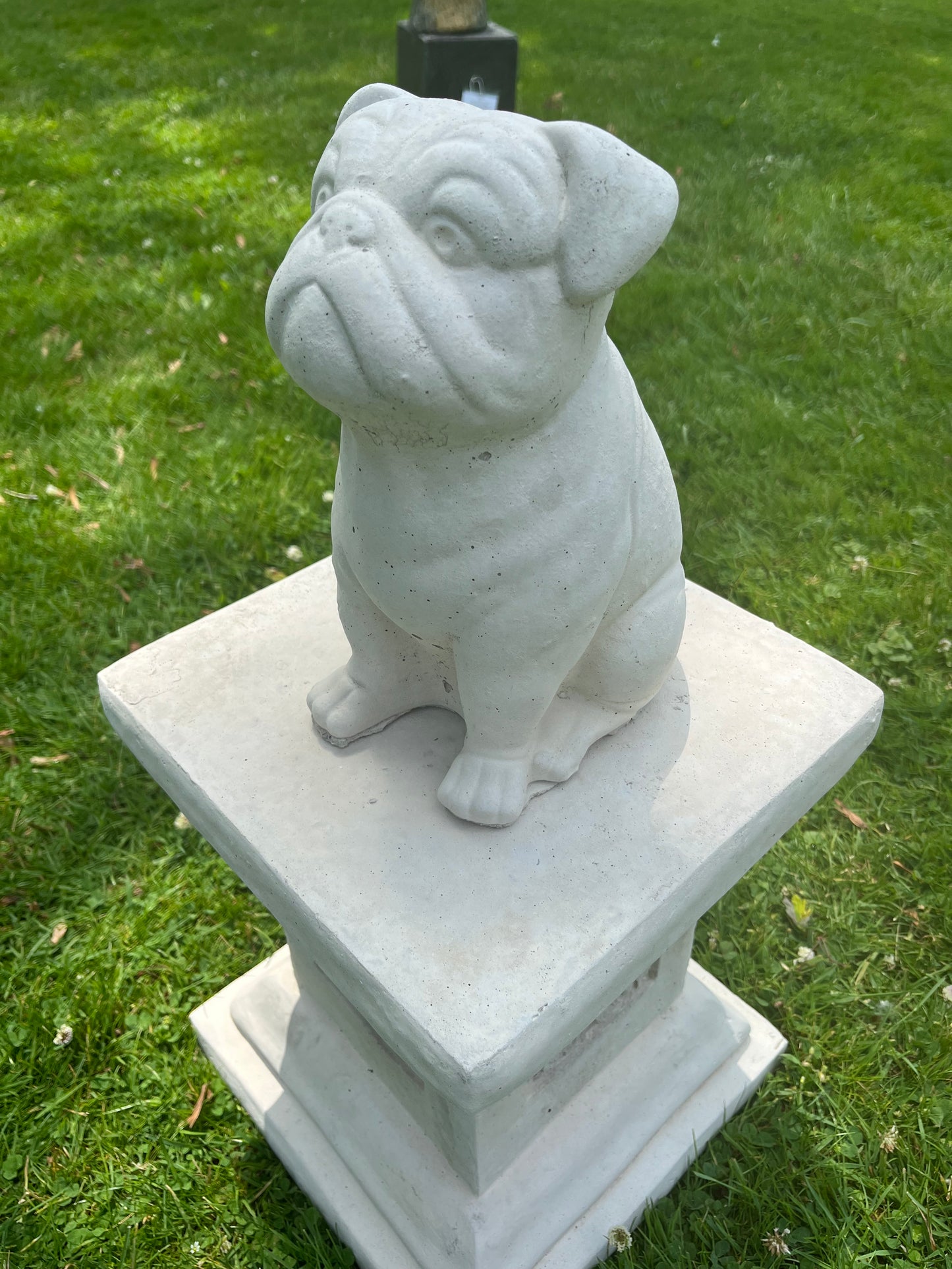 concrete bulldog