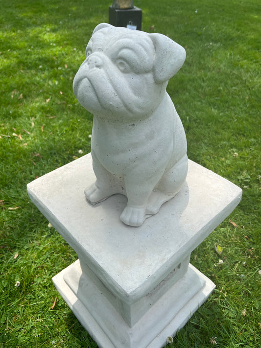 concrete bulldog