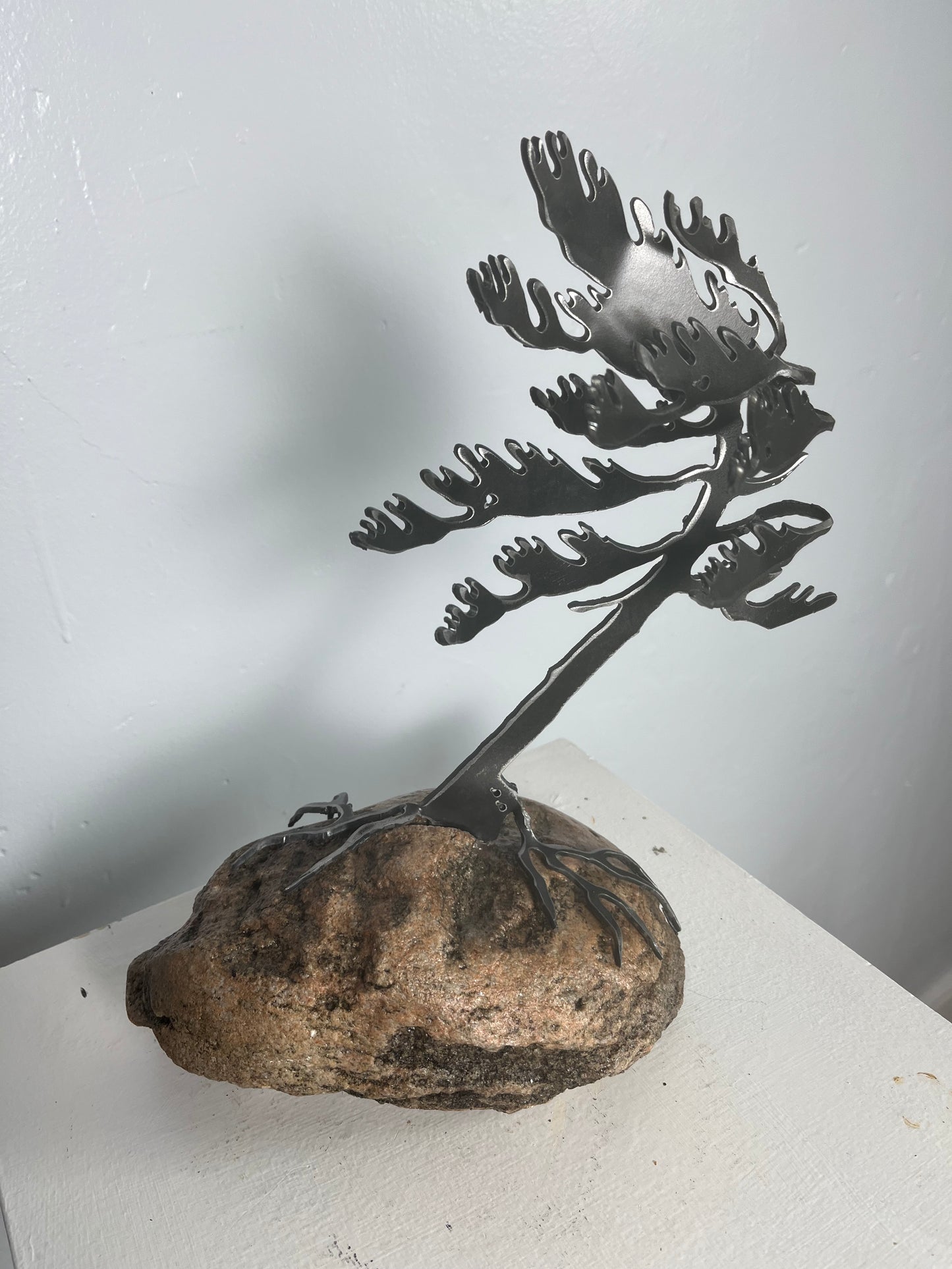 Cathy mark windswept tree on stone