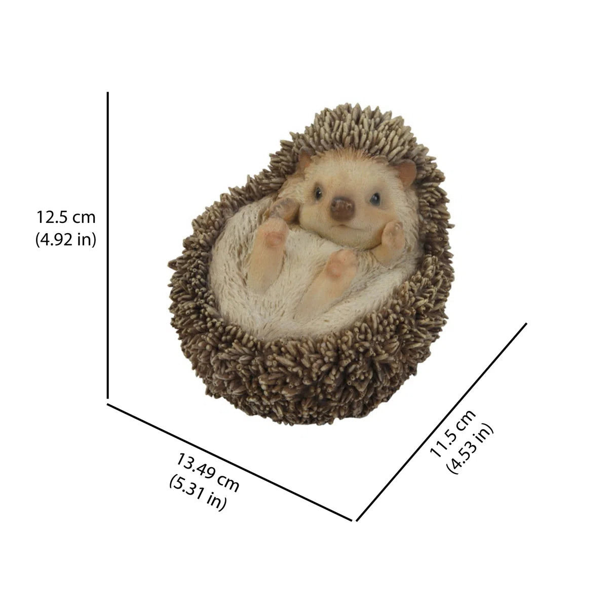 Hedgehog Laying on His Back
