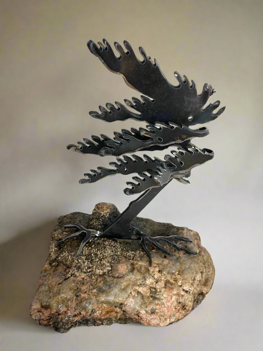 Cathy Mark Windswept Tree