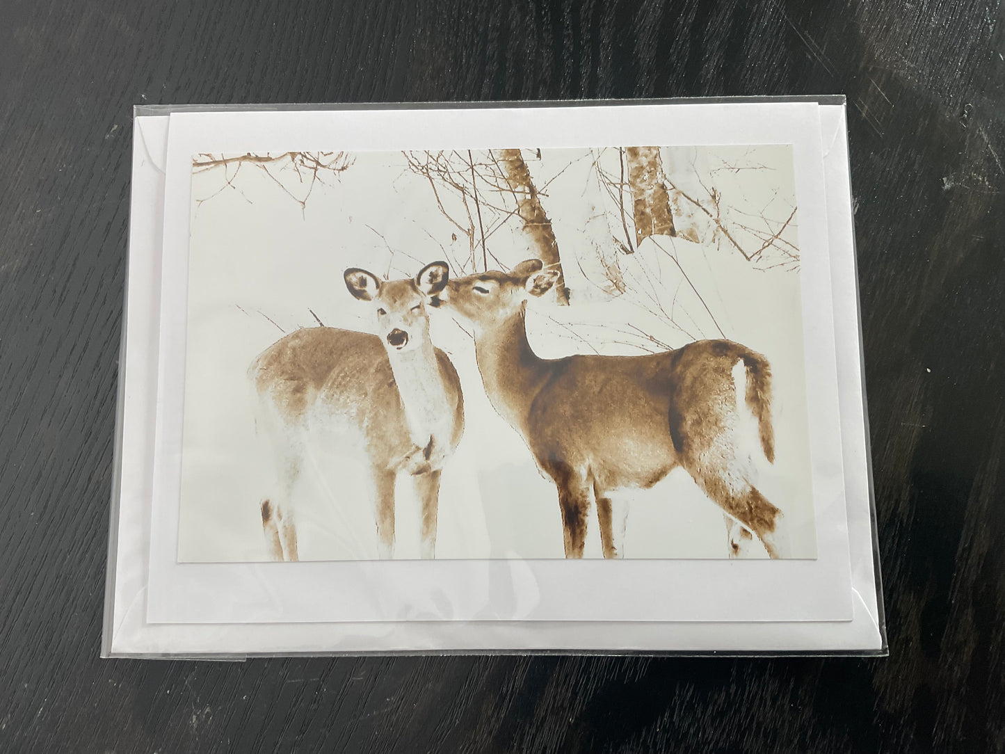 Patti Parker Photography Cards