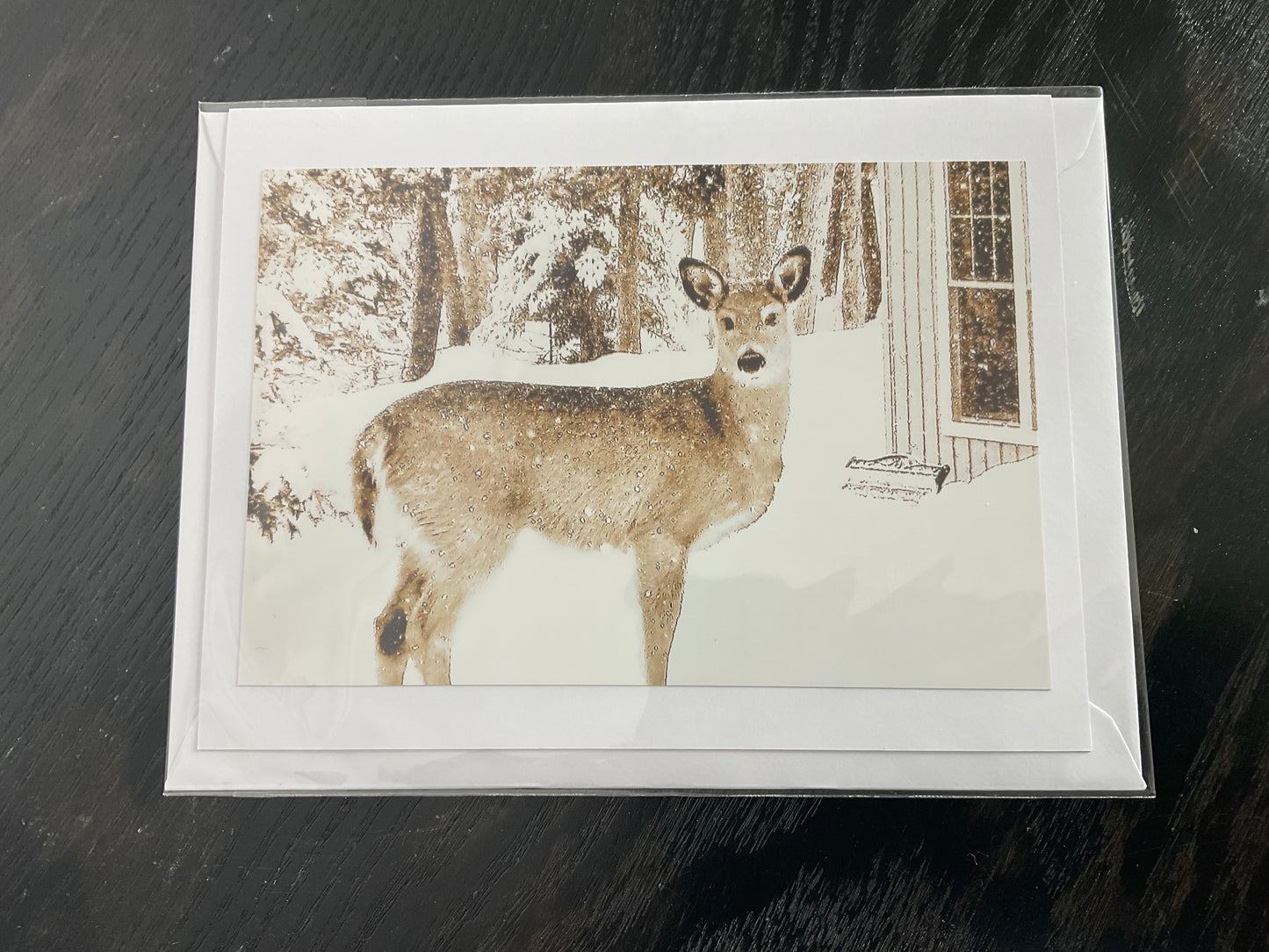 Patti Parker Photography Cards