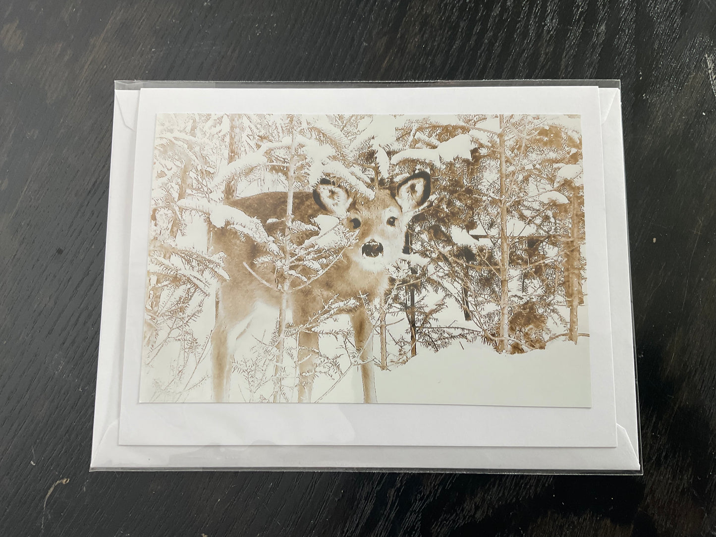 Patti Parker Photography Cards